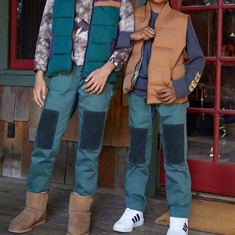 New PacSun Lilypads Carpenter Pants